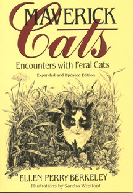 Maverick Cats: Encounters with Feral Cats